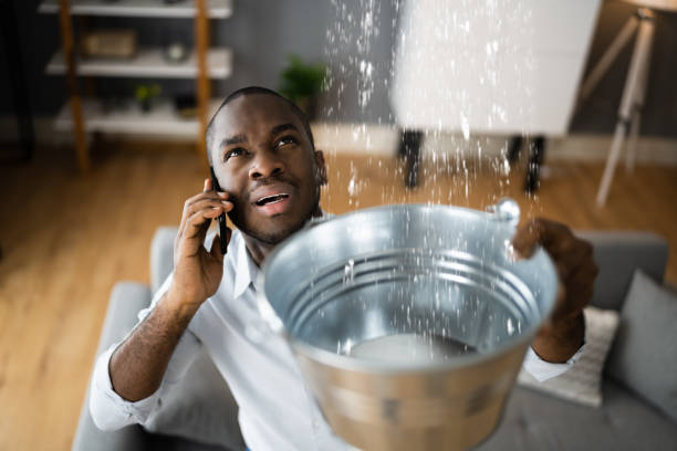 Best Flood damage cleanup  in Malvern, OH