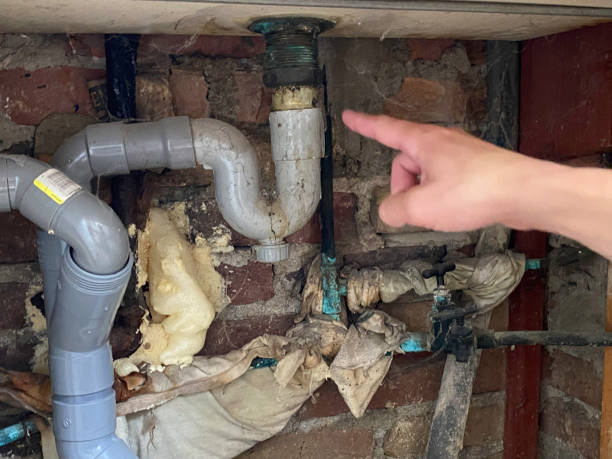 Best Water damage restoration cost  in Malvern, OH