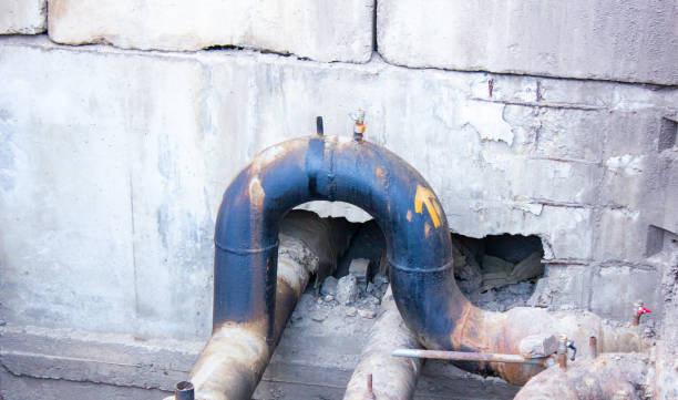 Best Mold removal after water damage  in Malvern, OH